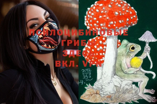 мет Пестово