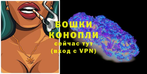 дурь Переславль-Залесский