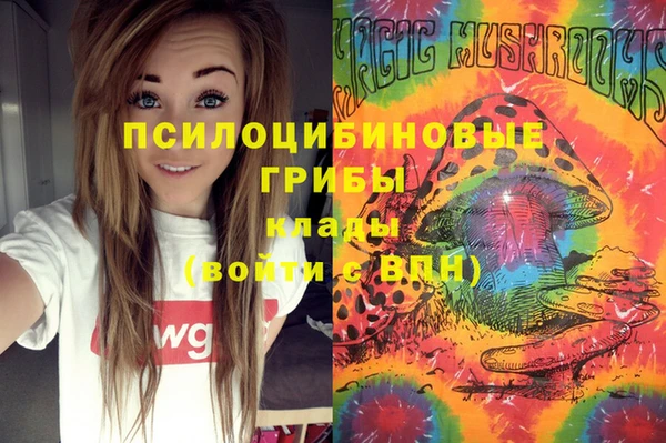 мет Пестово