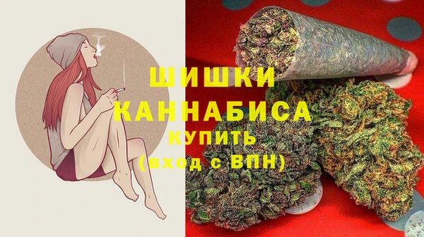 мет Пестово