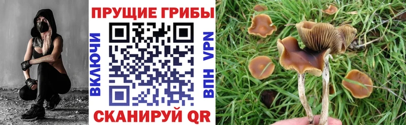 Галлюциногенные грибы GOLDEN TEACHER  цены   Ревда 