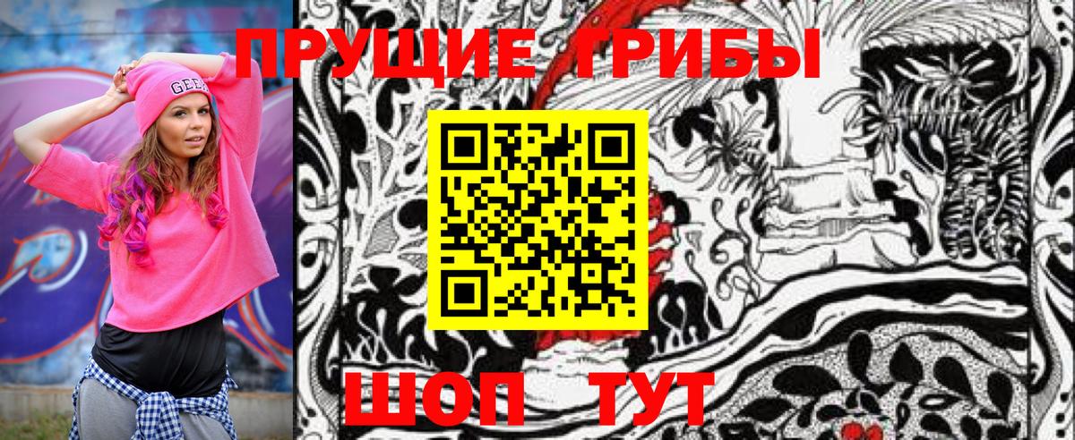 Ревда  Галлюциногенные грибы Psilocybine cubensis  Вход с VPN 