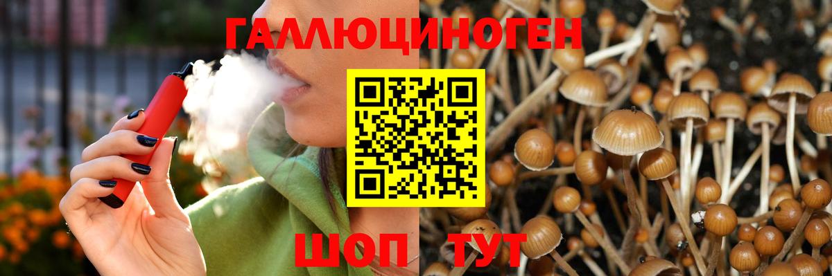 Псилоцибиновые грибы прущие грибы Ревда